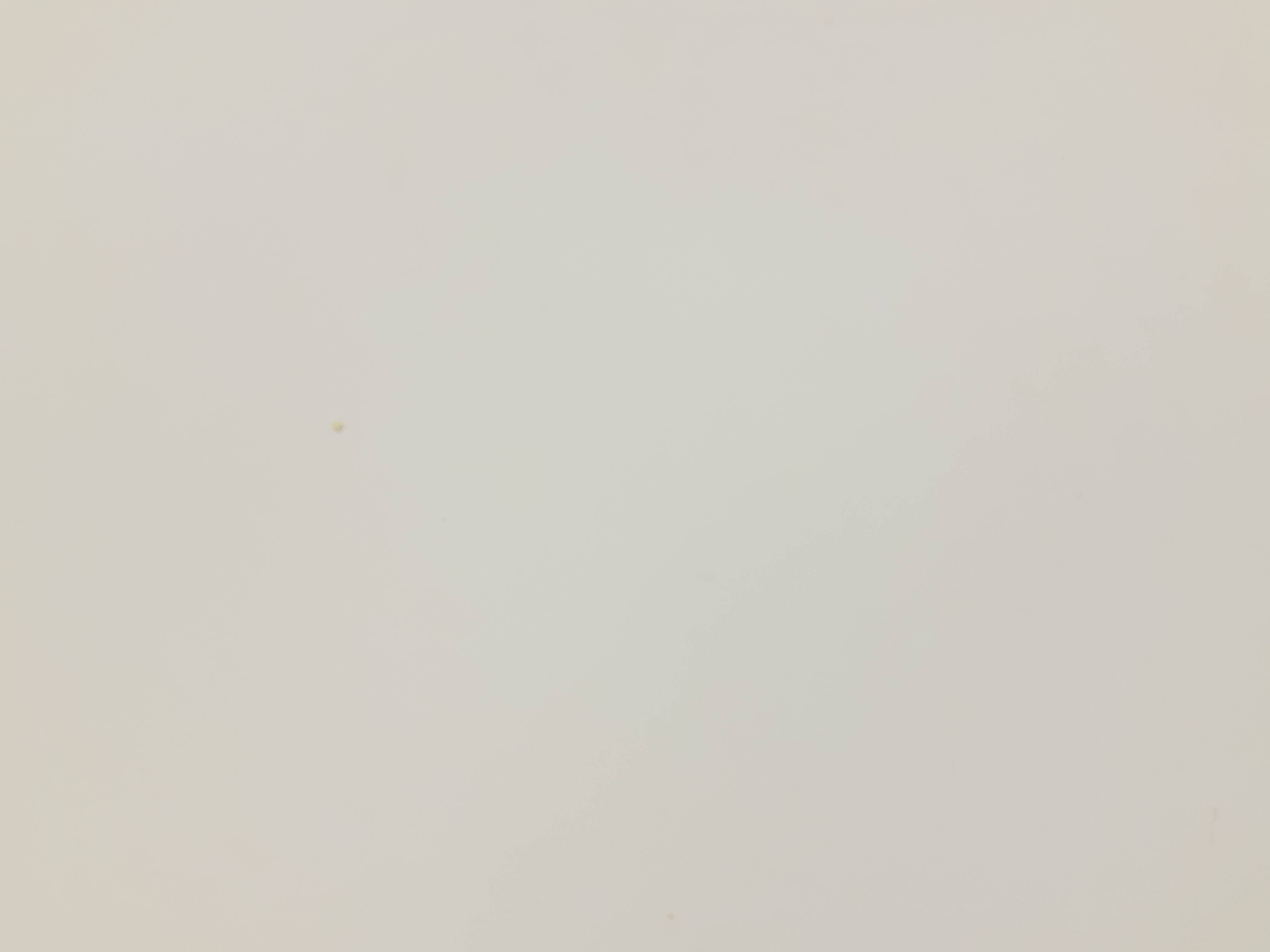 faculty img